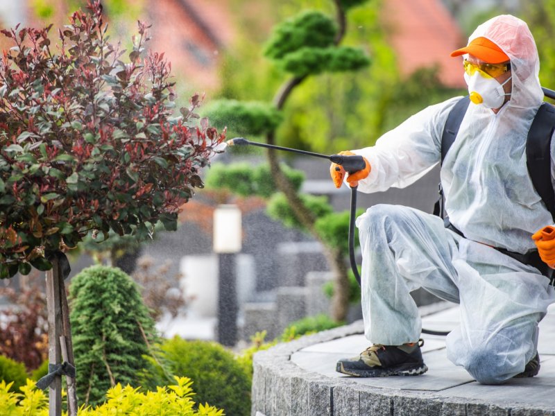 Çavdarhisar Haşere İlaçlama